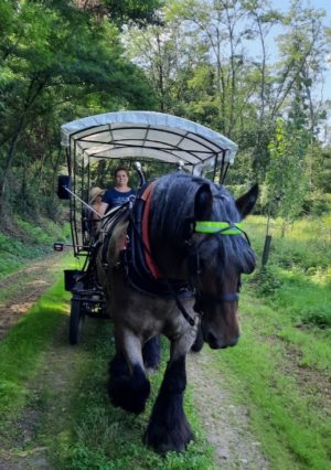 Entre Adour et Montagne