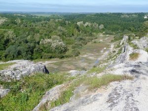 Sortie nature COMPLET