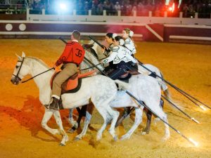 « Chevaux et Passions du Sud »