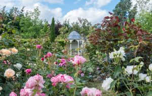 Visite guidée du Jardin de Marrast – Château de Marrast